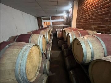 Bodega modelo en venta Valle de Uco ideal enoturismo