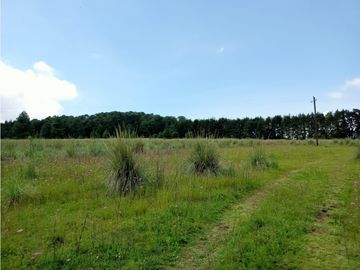 Terreno en venta en el Fresno Valle de Bravo