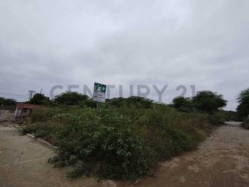 Venta de Terrenos en Santa Elena Manglaralto a 5 minutos de Montañita A.E.