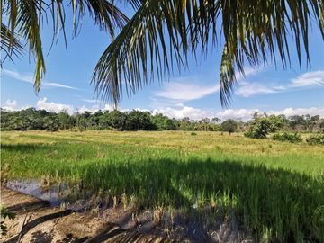 TERRENO EN VENTA 8 HECTAREAS SECTOR CHONTAMUYO
