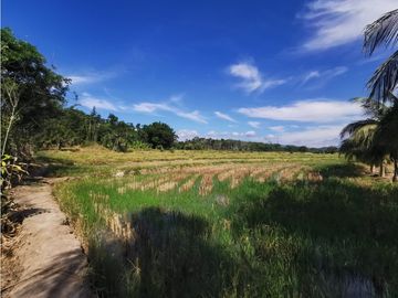 TERRENO EN VENTA 8 HECTAREAS SECTOR CHONTAMUYO