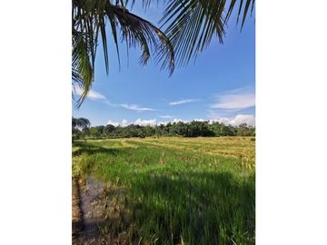 TERRENO EN VENTA 8 HECTAREAS SECTOR CHONTAMUYO