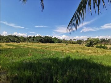 TERRENO EN VENTA 8 HECTAREAS SECTOR CHONTAMUYO