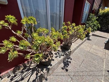 Casa en Venta en Villa Flores de Pucara