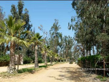 Parcela en venta en ZAPALLAR