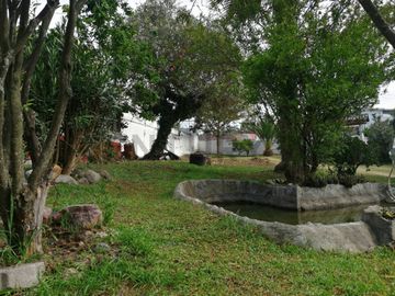 Venta casa Tumbaco, sector Collaqui