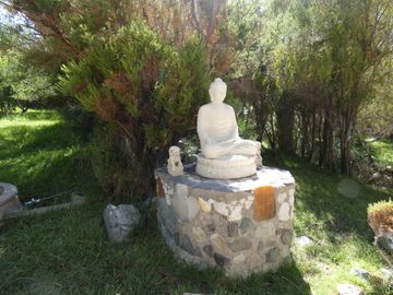 Local comercial en venta en PAIHUANO