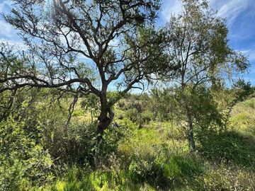 Parcela en venta en CAUQUENES