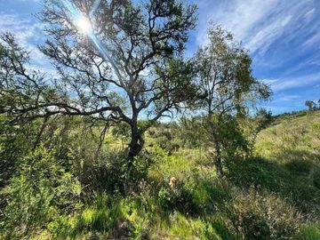 Parcela en venta en CAUQUENES