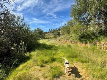 Parcela en venta en CAUQUENES