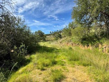 Parcela en venta en CAUQUENES