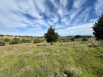Parcela en venta en CAUQUENES