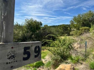 Parcela en venta en CAUQUENES