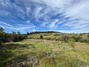Parcela en venta en CAUQUENES