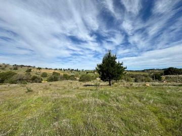 Parcela en venta en CAUQUENES