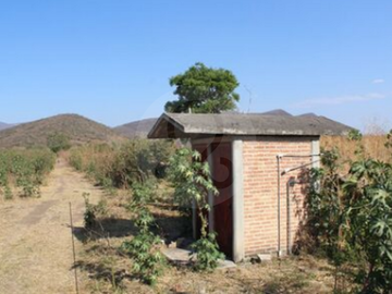 Finca en venta en Zacoalco de Torres Centro