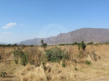 Finca en venta en Zacoalco de Torres Centro