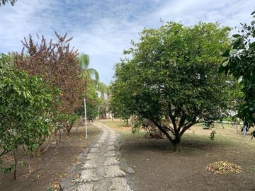 Finca/Rancho en Venta en San Mateo