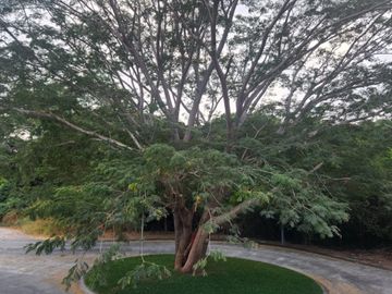 TERRENO EN VENTA EN ALTOZANO COLIMA