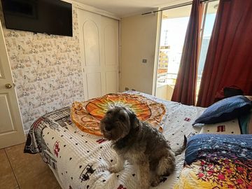 Departamento en venta en ANTOFAGASTA