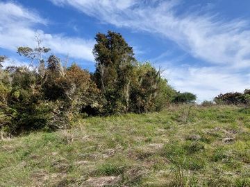Parcela en venta en MAULLÍN