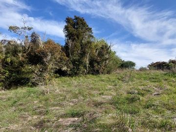 Parcela en venta en MAULLÍN