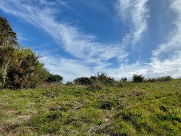 Parcela en venta en MAULLÍN