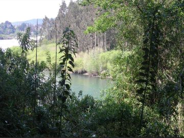 Parcela en venta en LOS LAGOS