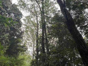 Parcela en venta en LOS LAGOS