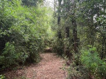 Parcela en venta en LOS LAGOS