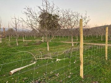 Parcela en venta en CASABLANCA