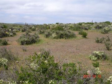 Parcela en Venta en Mirador de Talinay I