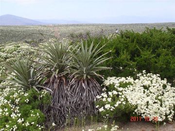 Parcela en Venta en Mirador de Talinay I