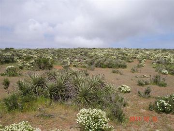 Parcela en Venta en Mirador de Talinay I