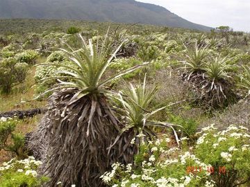 Parcela en Venta en Mirador de Talinay I