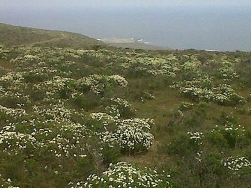 Parcela en Venta en Mirador de Talinay I
