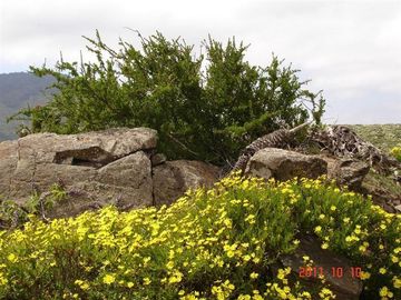Parcela en Venta en Mirador de Talinay I