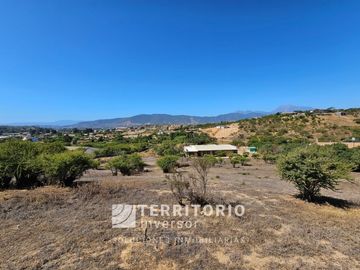 SAN ALFONSO - LIMACHE.