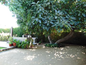 Casa en venta en OLMUÉ
