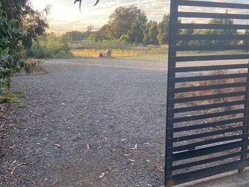 Parcela en Venta en Camino Cerro Colorado