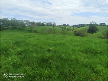 VENTA DE HERMOSA FINCA UBICADA EN ALBANIA CAQUETA
