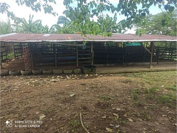 VENTA DE HERMOSA FINCA UBICADA EN ALBANIA CAQUETA