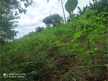 VENTA DE HERMOSA FINCA UBICADA EN ALBANIA CAQUETA