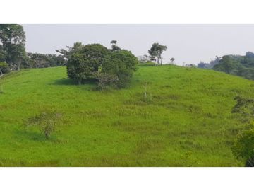VENTA DE HERMOSA FINCA UBICADA EN ALBANIA CAQUETA