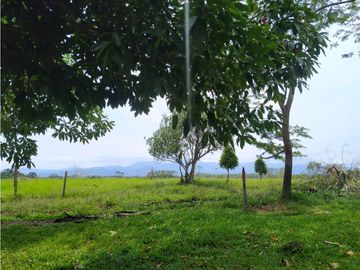 VENTA DE HERMOSA FINCA UBICADA EN ALBANIA CAQUETA