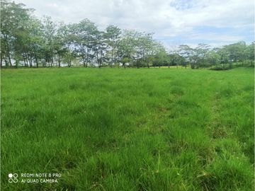 VENTA DE HERMOSA FINCA UBICADA EN ALBANIA CAQUETA