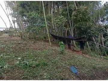 Casa camprestre a la venta en el sector de la selva, Pereira!!!