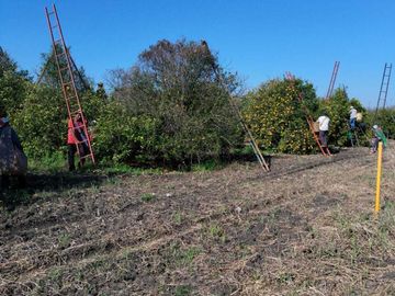 Huerta en el FRAILE con comodidades para el descanso/diversión
