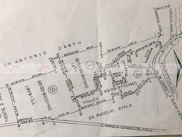Palo Alto Vallecillo