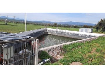VENTA RANCHO EN  OJO DE AGUA SAN JUAN DEL RIO
